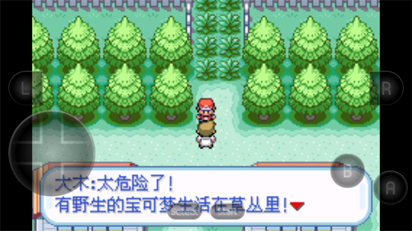 口袋妖怪火红萌版