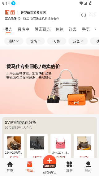 妃鱼