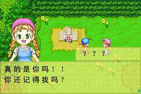 牧场物语符文工房3