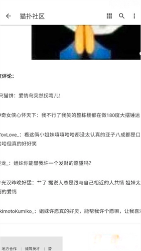 猫扑社区论坛