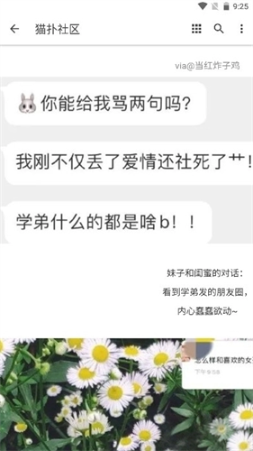 猫扑社区论坛