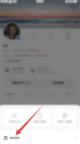 秘乐短视频