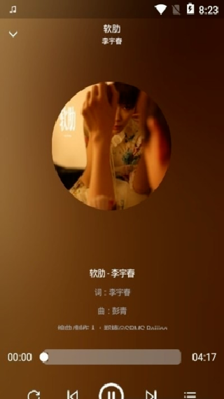 flymusic音乐
