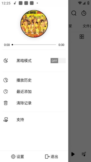 RPlayer音乐播放器