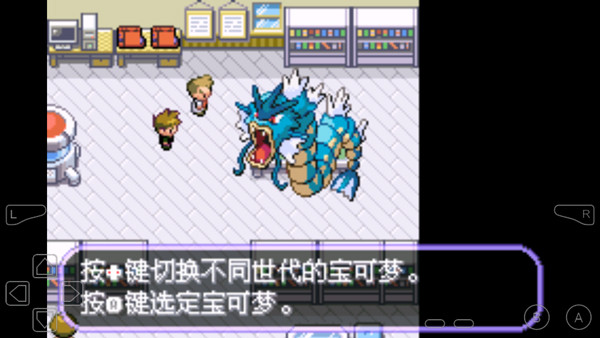 口袋妖怪不归之殇暗
