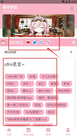 塔菲盒