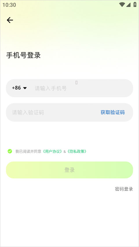 元游猫