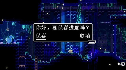 动物井