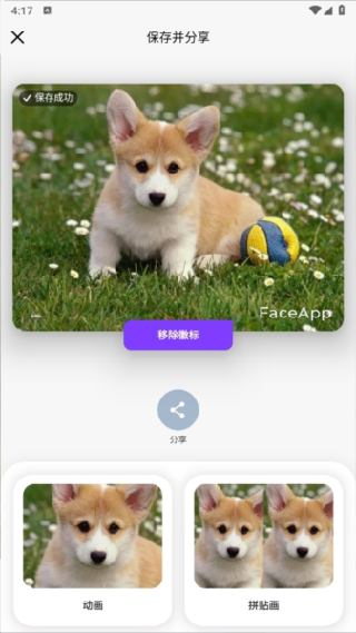 Faceapp
