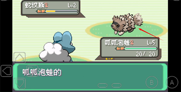 口袋妖怪刽曜之影