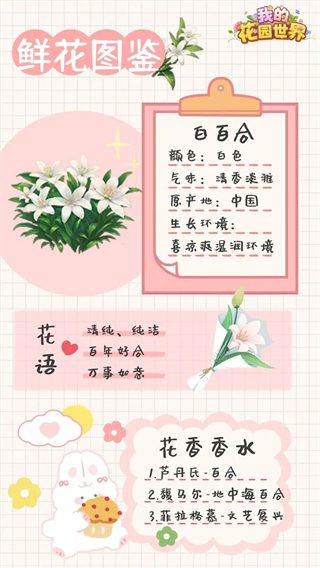 我的花园世界