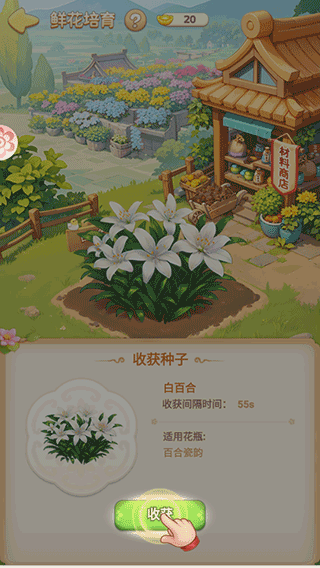 我的花园世界