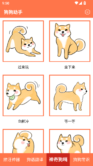 狗狗助手
