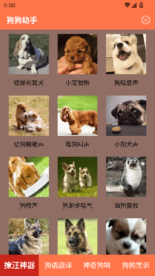 狗狗助手
