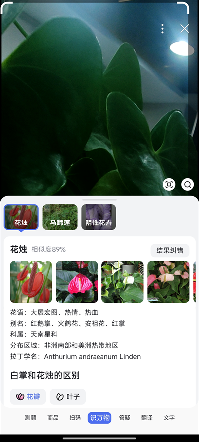 谷歌识图