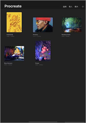 Procreate安卓版