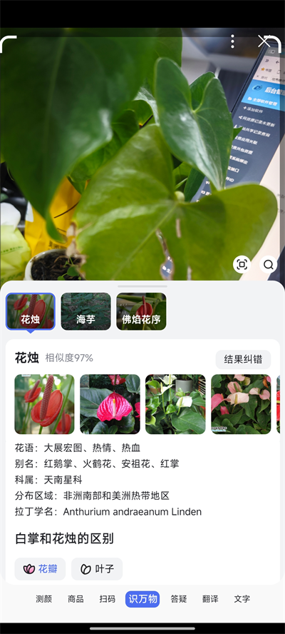 谷歌识图