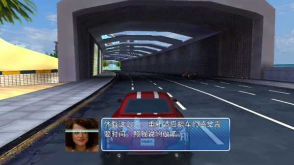 速度与激情8