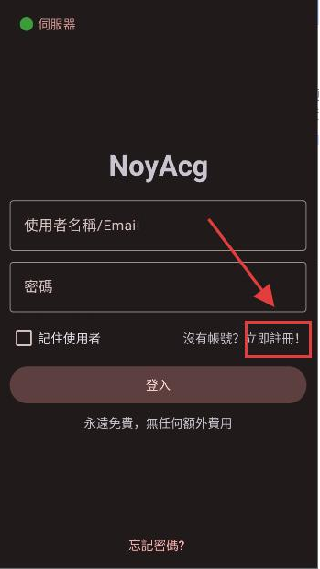 NoyAcg