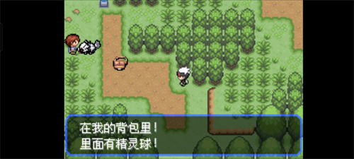 口袋妖怪究极绿宝石5.5