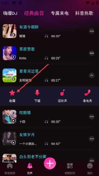 来电视频