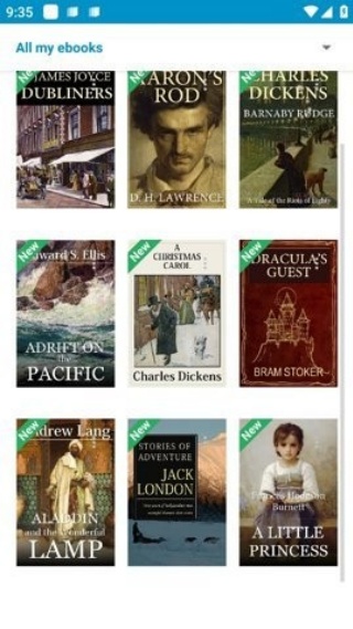 ebook电子书
