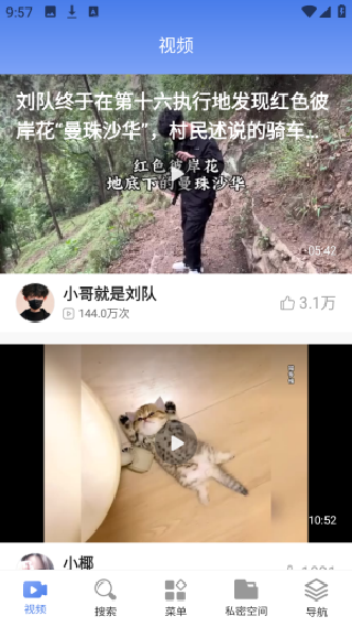 浏览器Surfing