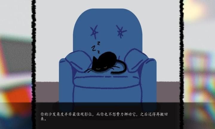 别带这只猫回家