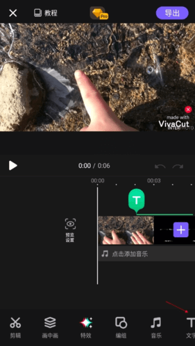 VivaCut