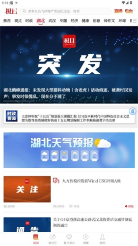 极目新闻