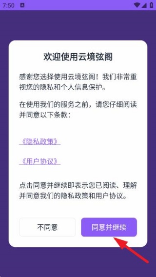 云境弦阁