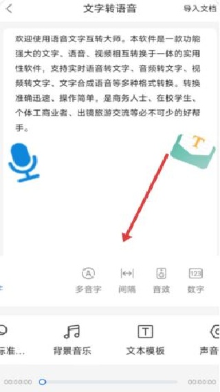 语音转文字大师