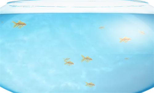 fishbowl