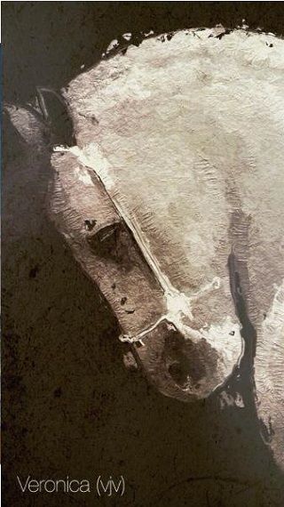 Glaze油画滤镜
