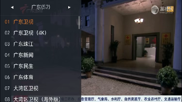 WebViewTV