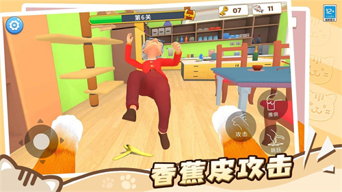 猫咪养成计划