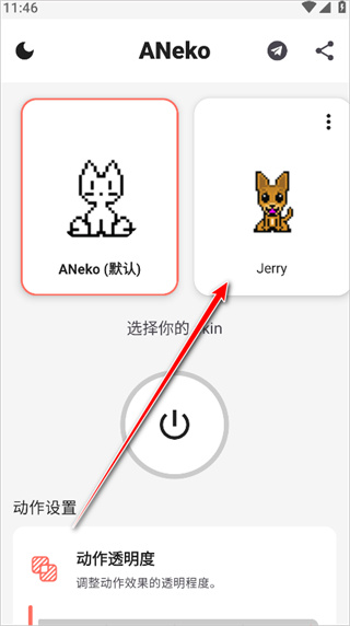 ANeko