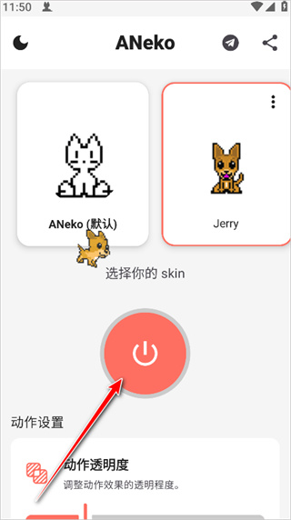 ANeko