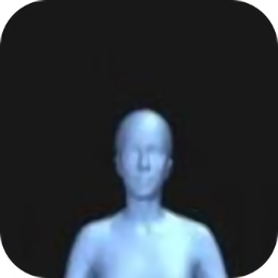 BodyVisualizer中文版