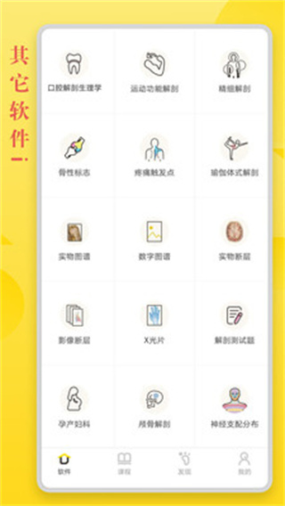 3Dbody解剖