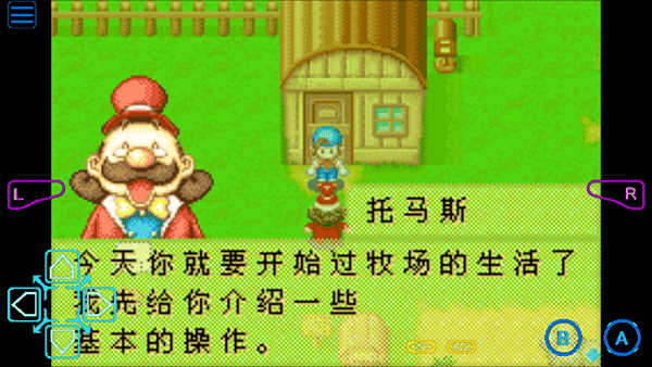 牧场物语矿石镇的伙伴们女孩版