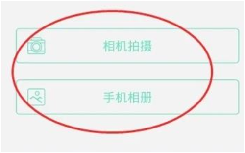 智学网学生端
