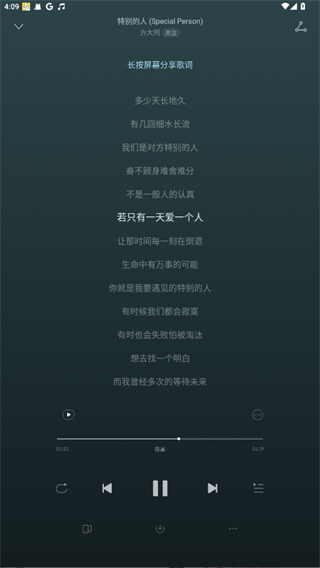 荣耀音乐网易云定制版