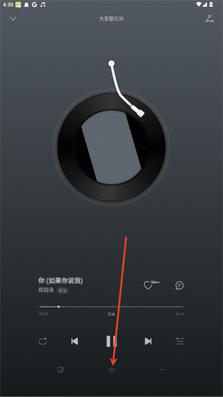 荣耀音乐网易云定制版