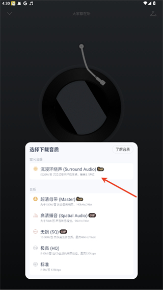 荣耀音乐网易云定制版
