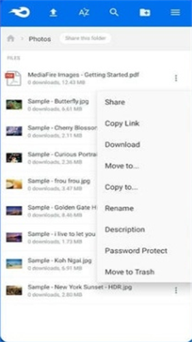 MediaFire