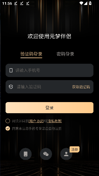 元梦伴侣