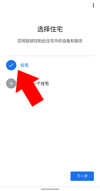 google home