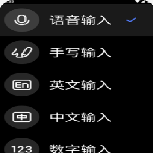搜狗输入法手表版
