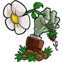 PVZ转基因版